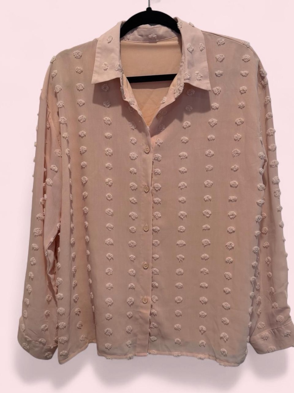 Light Pink Textured Button-Down Blouse Large